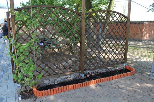 W maju jest pieknie (9)