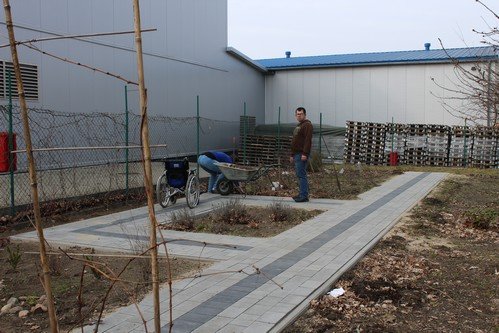 Wiosna w ogrodzie (10)