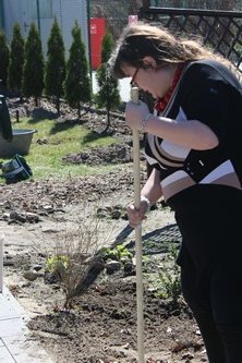 Wiosna w ogrodzie (13)