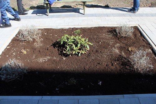 Wiosna w ogrodzie (20)