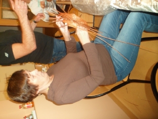 październik 2015_311