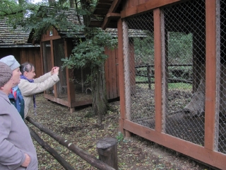 październik 2016_80