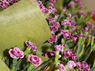 Lipiec-sierpień 2019_5