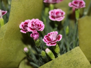 Lipiec-sierpień 2019_6