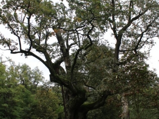 Październik 2019_12