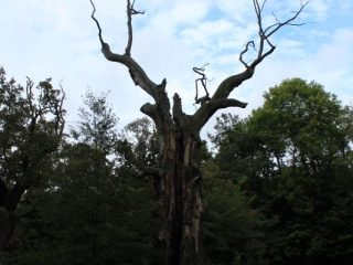 Październik 2019_18