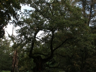 Październik 2019_19