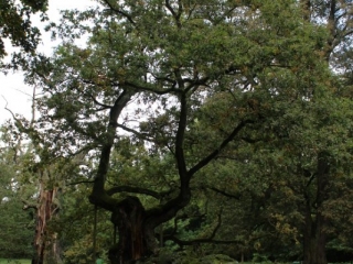 Październik 2019_20