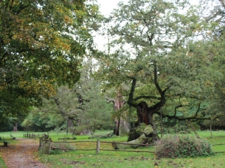 Październik 2019_22