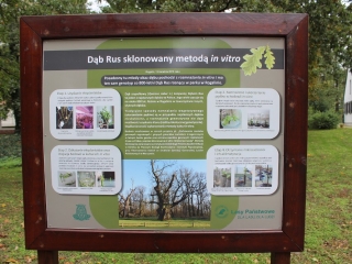 Październik 2019_26