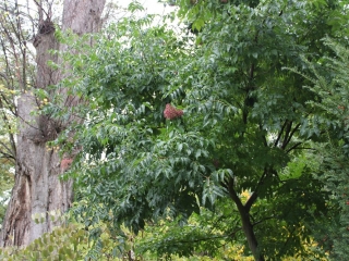 Październik 2019_31