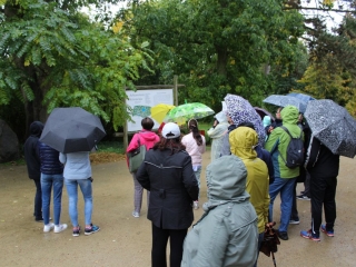 Październik 2019_33