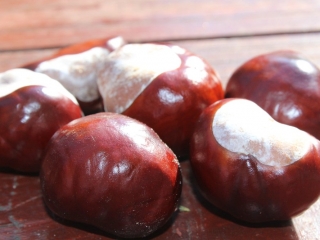 Październik 2019_66