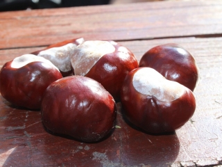 Październik 2019_67