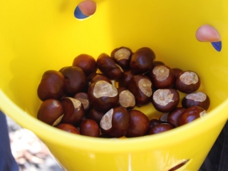 Październik 2019_68