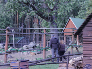 Październik 2020_10