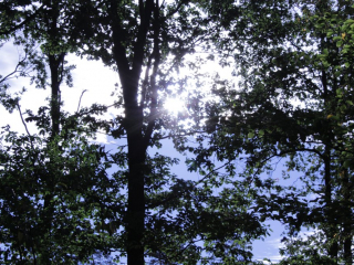 Październik 2020_17