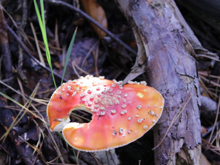 Październik 2020_18