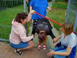 Piknik na ogrodzie_6