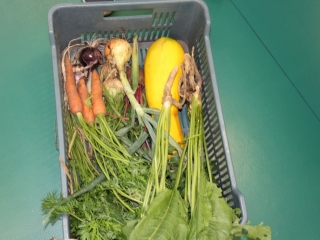 Zajęcia o warzywach i owocach_6