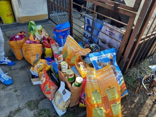 Karma dla psów i kotów_1