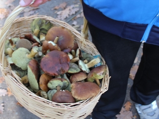 Podsumowanie akcji sprzątania świata_24