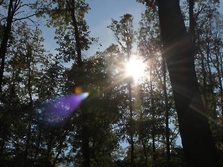 Podsumowanie akcji sprzątania świata_25