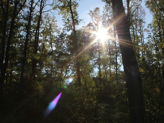 Podsumowanie akcji sprzątania świata_26