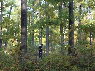 Podsumowanie akcji sprzątania świata_5