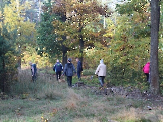 Podsumowanie akcji sprzątania świata_7