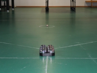 Turniej gry w Boccia_1