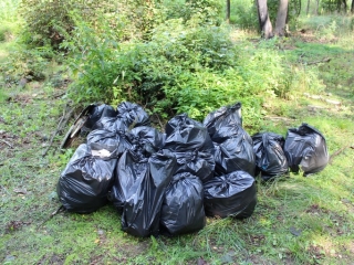 Sprzątanie świat_14