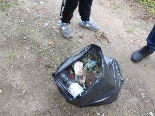 Sprzątanie świat_8