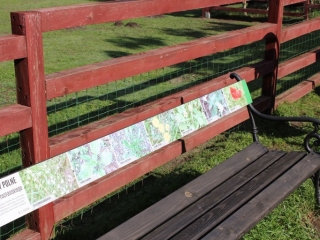 Wycieczka do Lubina_33