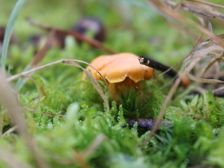 11.10.2023 Podsumowanie akcji sprzątania świata_12