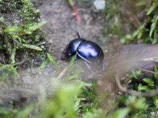 11.10.2023 Podsumowanie akcji sprzątania świata_13