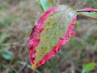 11.10.2023 Podsumowanie akcji sprzątania świata_15