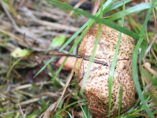 11.10.2023 Podsumowanie akcji sprzątania świata_16