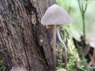 11.10.2023 Podsumowanie akcji sprzątania świata_18