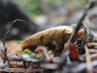 11.10.2023 Podsumowanie akcji sprzątania świata_22
