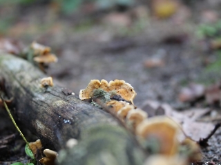 11.10.2023 Podsumowanie akcji sprzątania świata_24