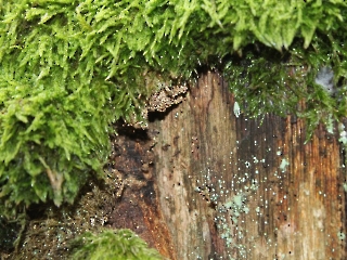 11.10.2023 Podsumowanie akcji sprzątania świata_27