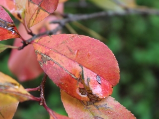 11.10.2023 Podsumowanie akcji sprzątania świata_3