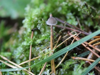 11.10.2023 Podsumowanie akcji sprzątania świata_7