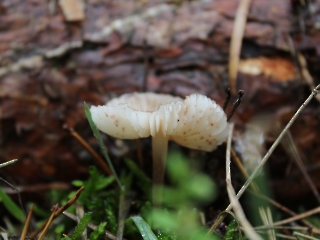 11.10.2023 Podsumowanie akcji sprzątania świata_9