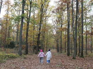 Podsumowanie Akcji Sprzątania Świata_11