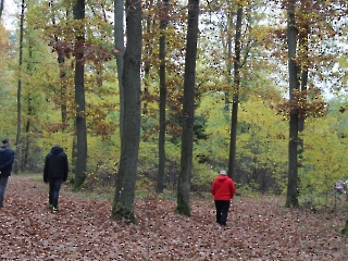 Podsumowanie Akcji Sprzątania Świata_13