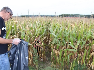 Sprzątanie świata_9