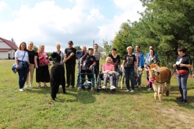 10,11,17.09 Alpakoterapia