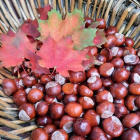 Jesień jest piękna!